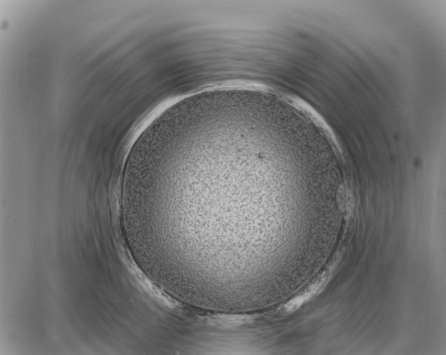 X0000087690860200705181753