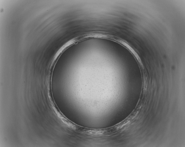 X0000087690861200705181753