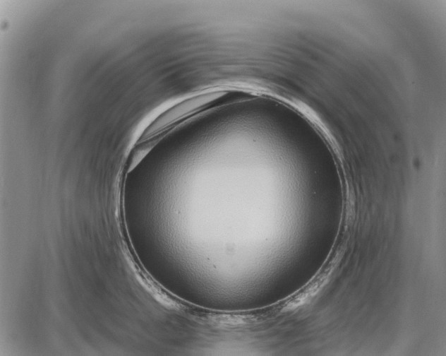 X0000087690862200705181753