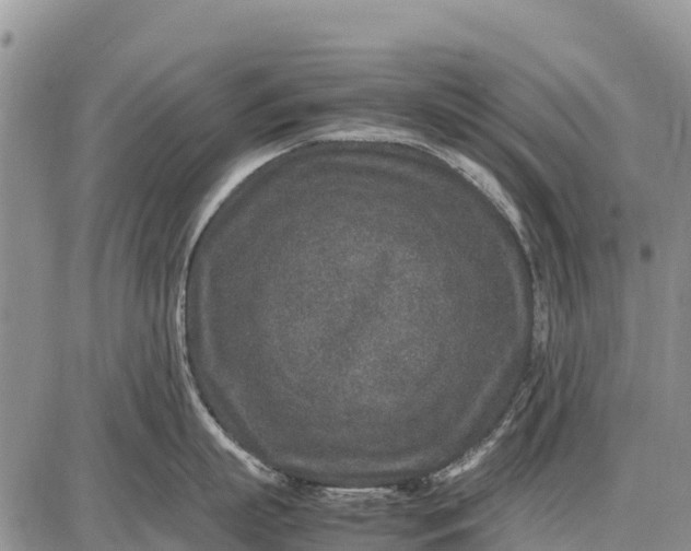 X0000087690863200705181753