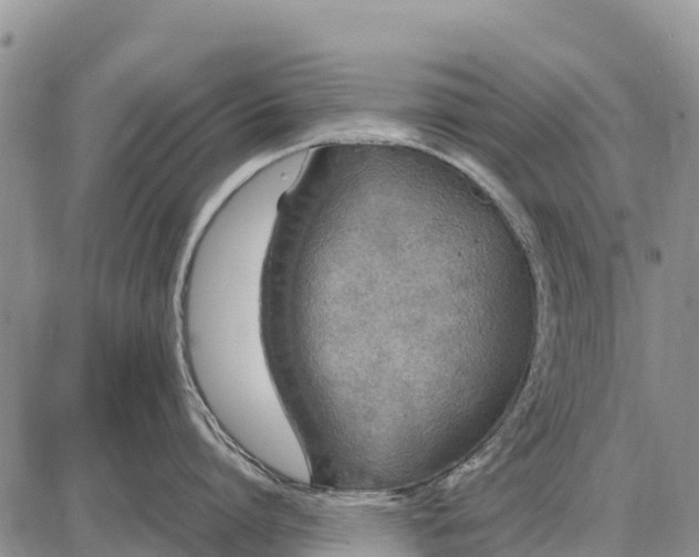 X0000087690864200705181753