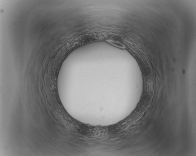 X0000087690865200705181752