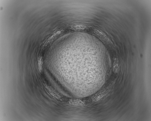 X0000087690866200705181752