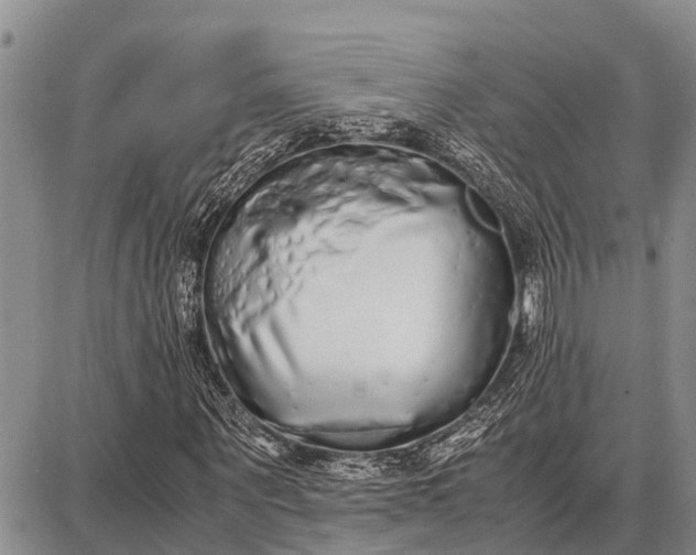 X0000087690867200705181752