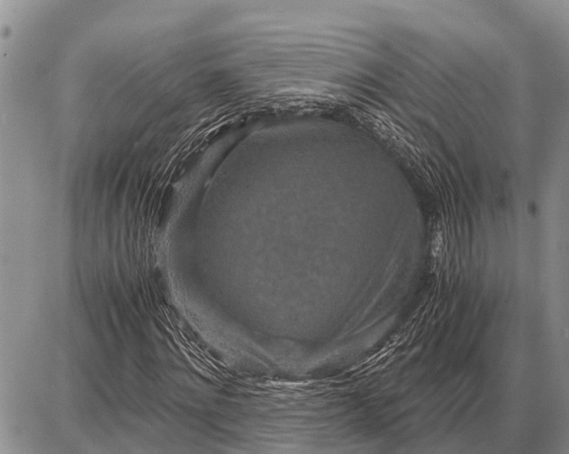 X0000087690868200705181752