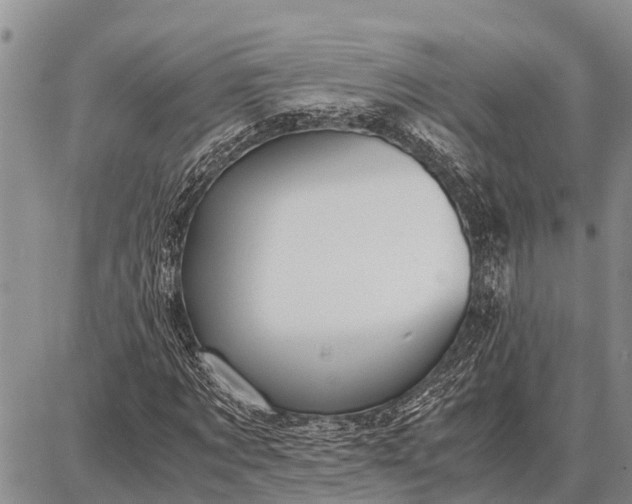 X0000087690869200705181752