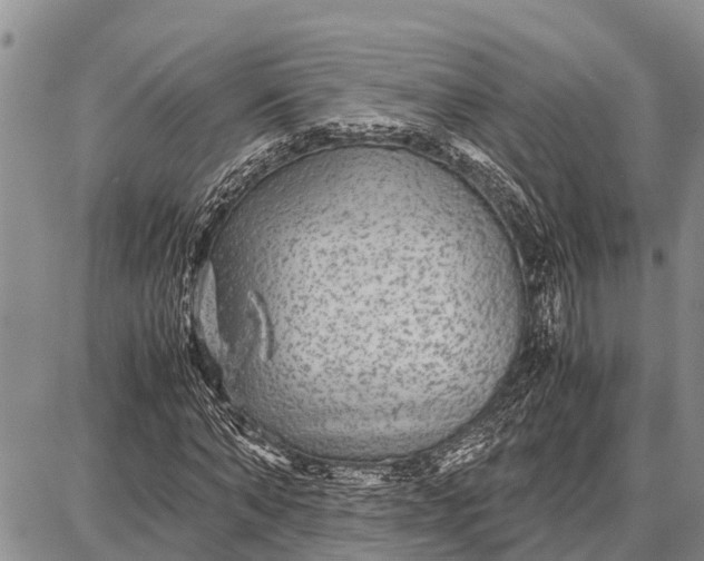 X0000087690870200705181752