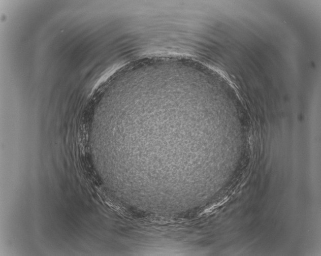 X0000087690871200705181752