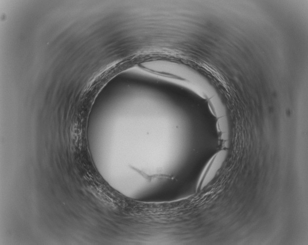 X0000087690872200705181752