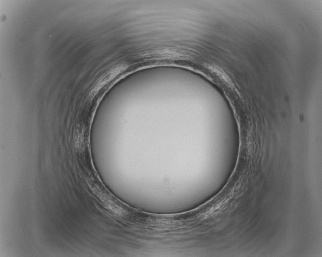 X0000087690873200705181752