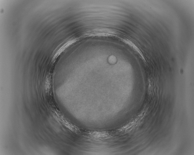 X0000087690874200705181752