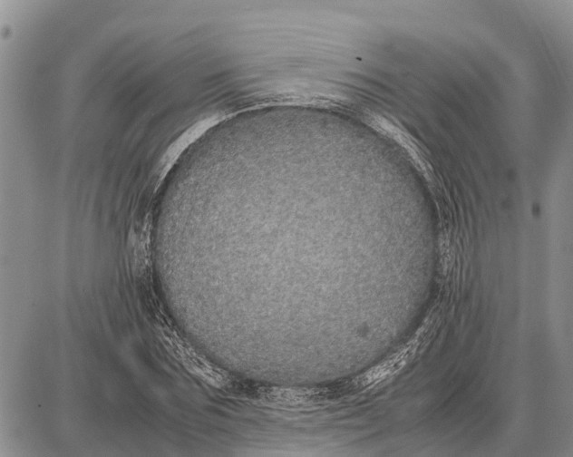 X0000087690875200705181752