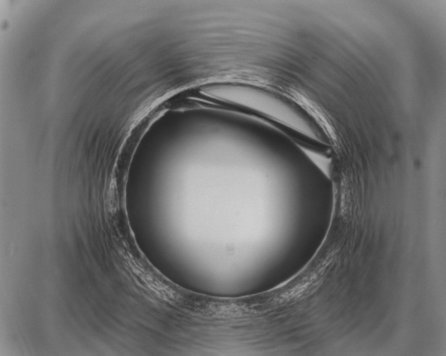 X0000087690876200705181752