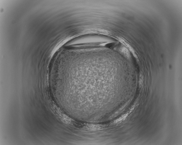 X0000087690877200705181752