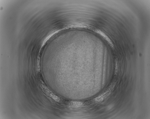 X0000087690878200705181752