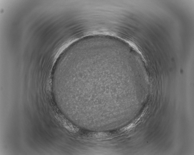 X0000087690879200705181752