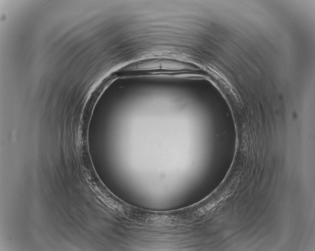 X0000087690880200705181752