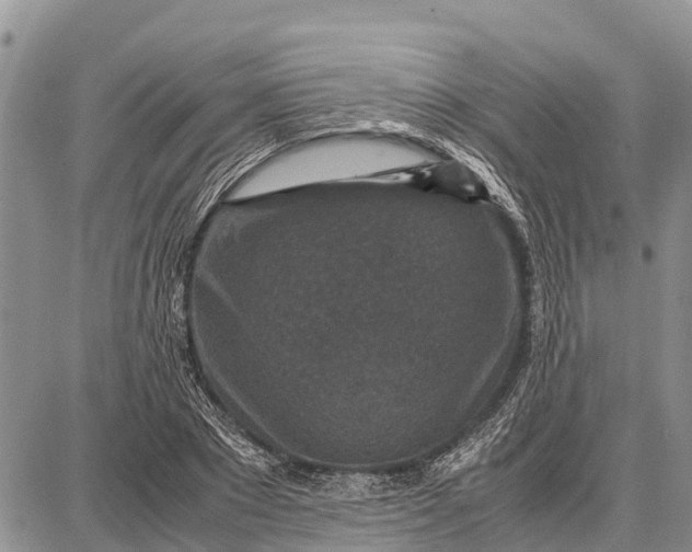 X0000087690881200705181752