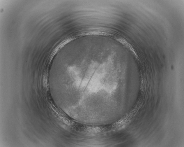 X0000087690882200705181752