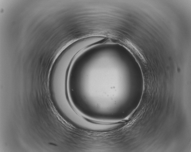 X0000087690884200705181752