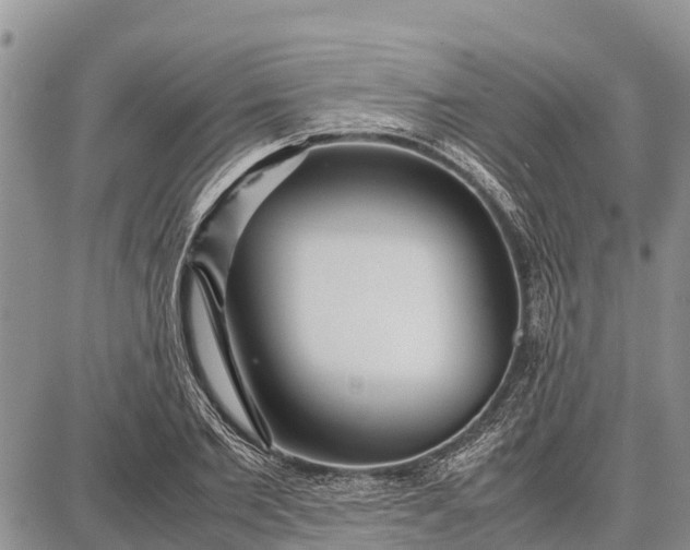 X0000087690885200705181752