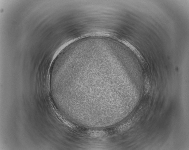 X0000087690886200705181752