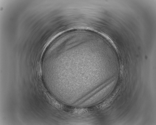 X0000087690887200705181752