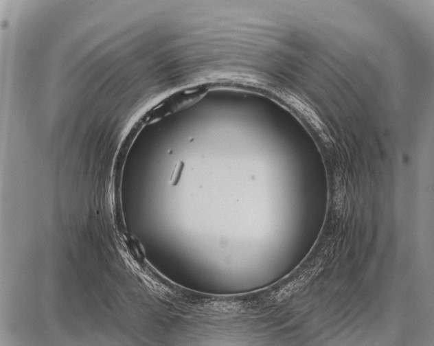 X0000087690888200705181752