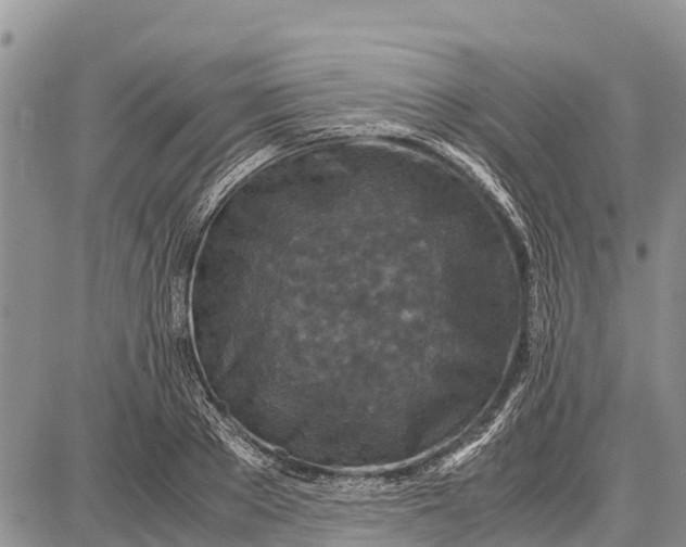 X0000087690889200705181752