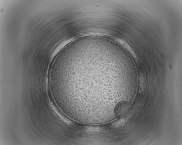 X0000087690890200705181752