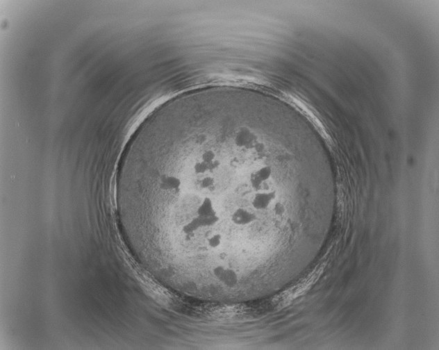 X0000087690891200705181752