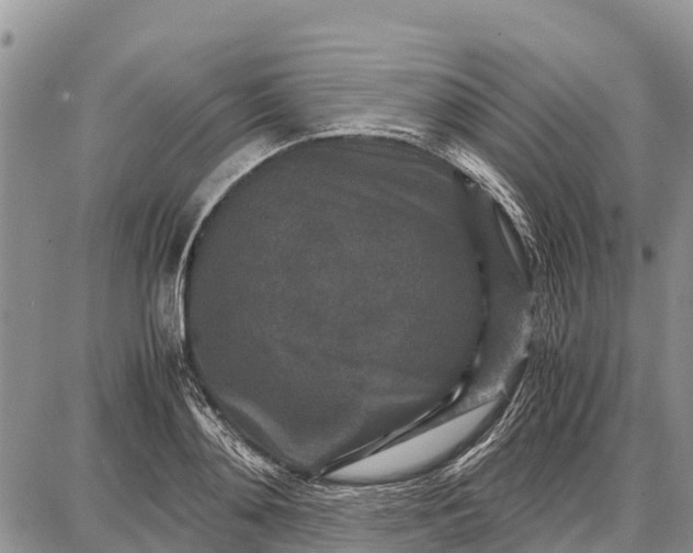 X0000087690892200705181752