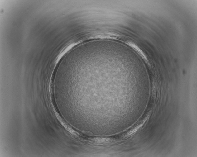 X0000087690893200705181752