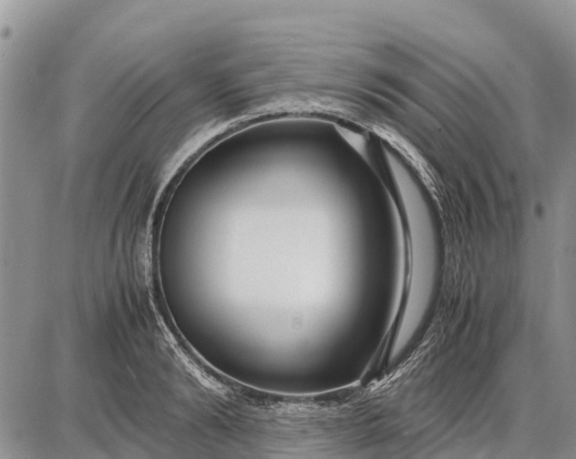 X0000087690894200705181752