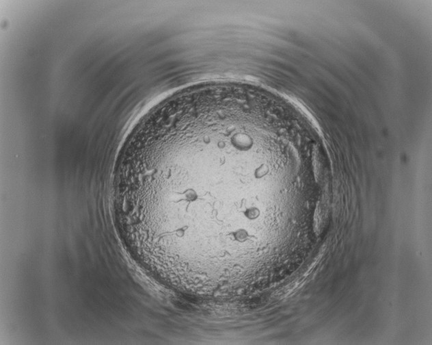 X0000087690895200705181752