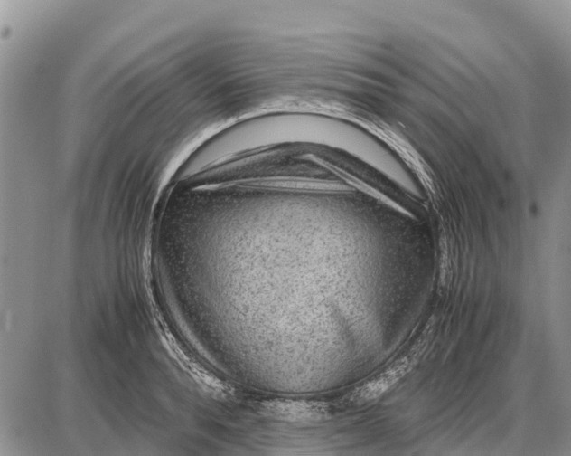 X0000087690896200705181752