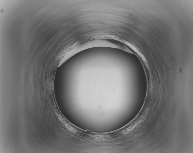 X0000087690897200705181752