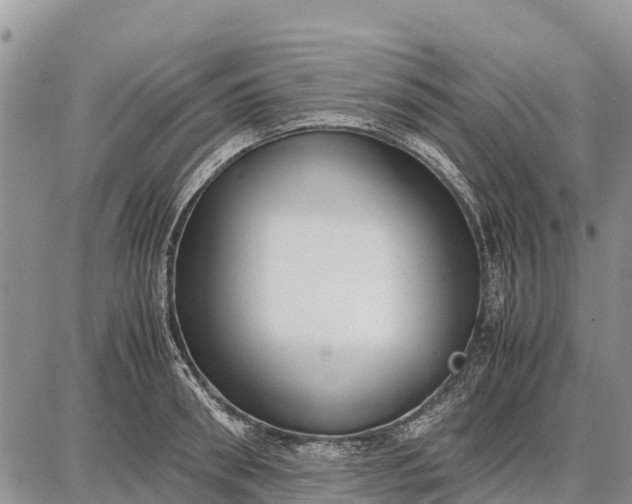 X0000087690898200705181752