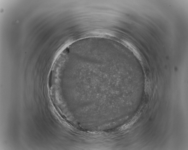 X0000087690899200705181752