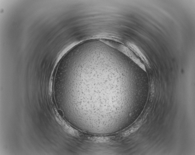 X0000087690900200705181752