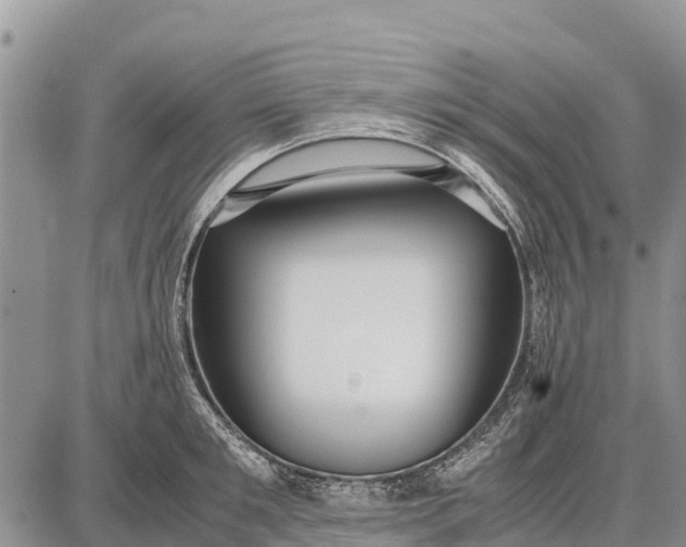 X0000087690901200705181752