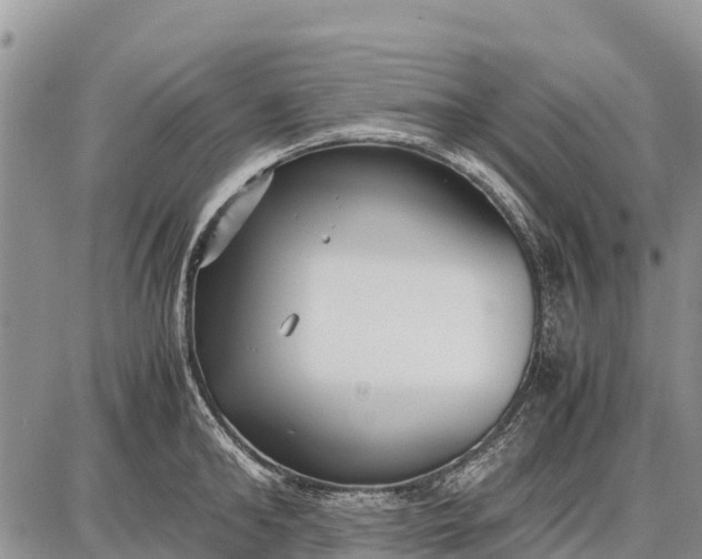 X0000087690902200705181751