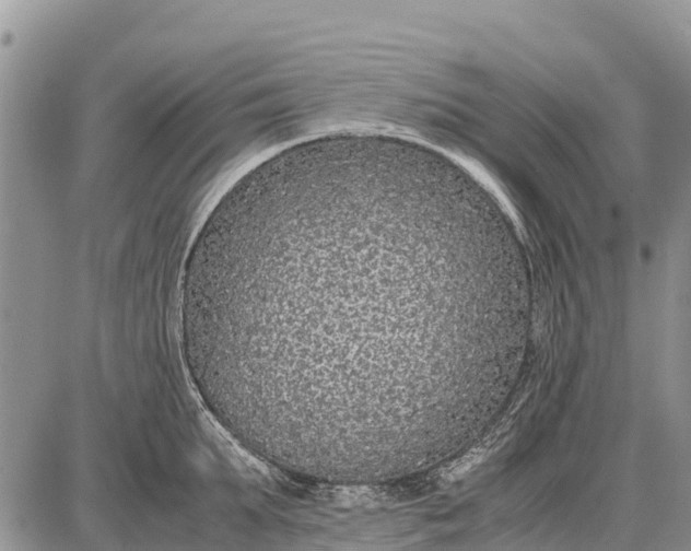 X0000087690903200705181751