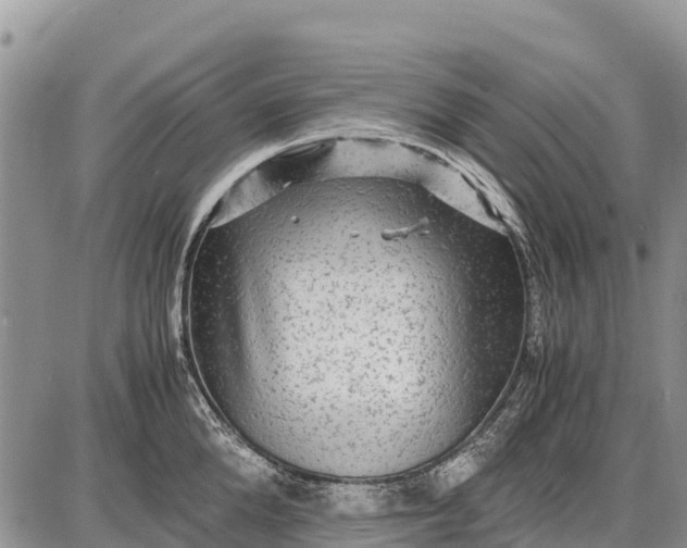 X0000087690904200705181751