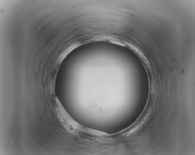 X0000087690905200705181751