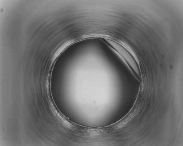 X0000087690906200705181751