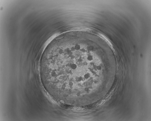 X0000087690907200705181751