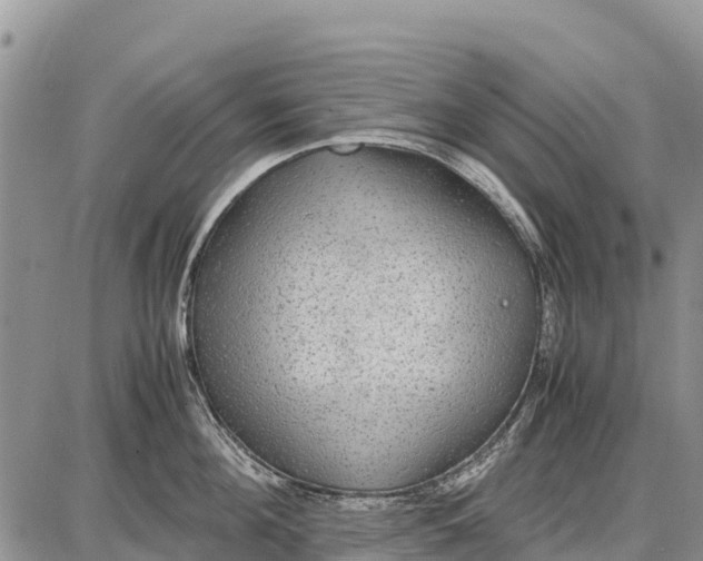 X0000087690908200705181751