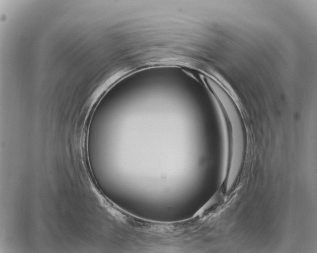 X0000087690909200705181751