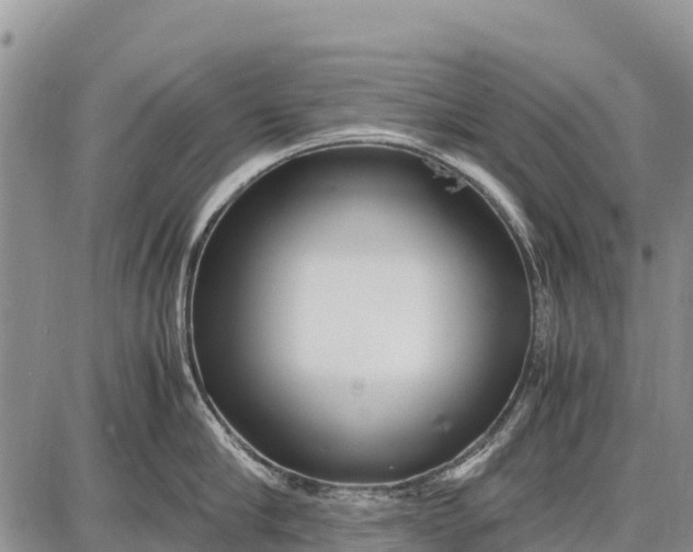 X0000087690910200705181751